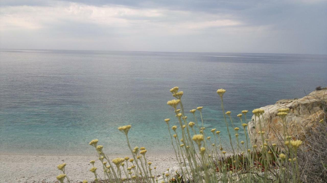 Sansone Daire Portoferraio Dış mekan fotoğraf
