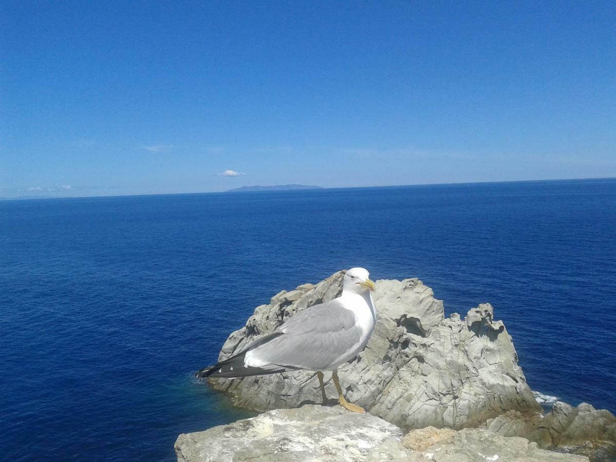 Sansone Daire Portoferraio Dış mekan fotoğraf